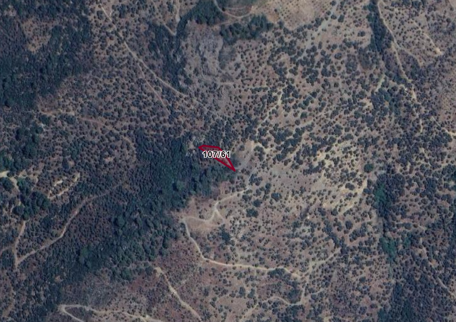 İZMİR BAYINDIR YEŞİLOVA  KÖYÜNDE 624  M² ZEYTİNLİK  SATILIKTIR - İZMİR BAYINDIR fotoğraf 17